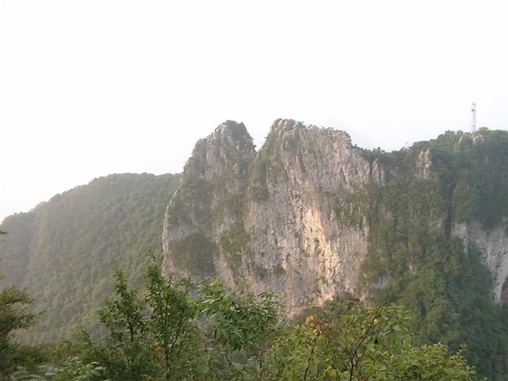 DVCI6271.jpg