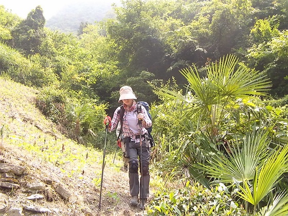 DVCI6312.jpg
