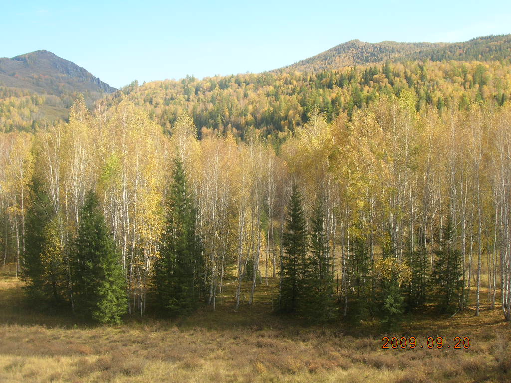 DSCN2878.JPG