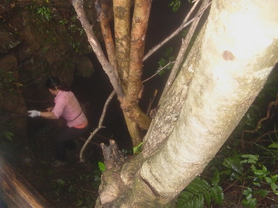 DVCI6418.jpg