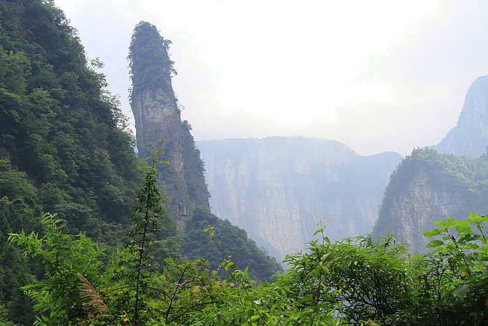 IMG_8999.jpg