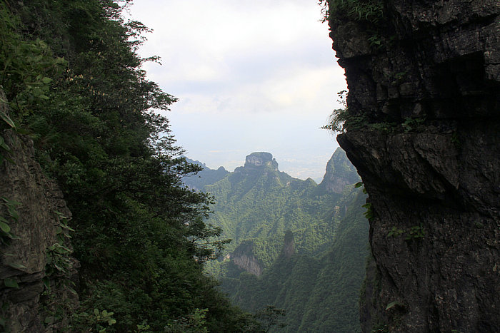 IMG_9081.jpg