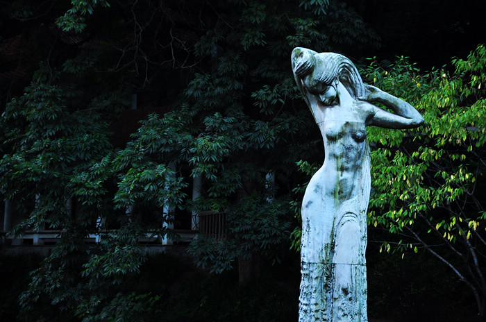 DSC_0096.jpg