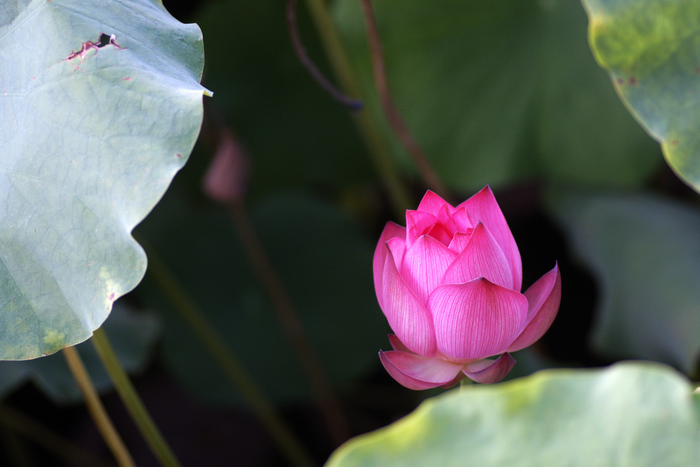 DSC_0363.jpg