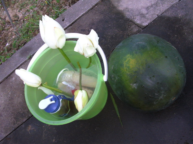 SANY8026_��С��С.JPG