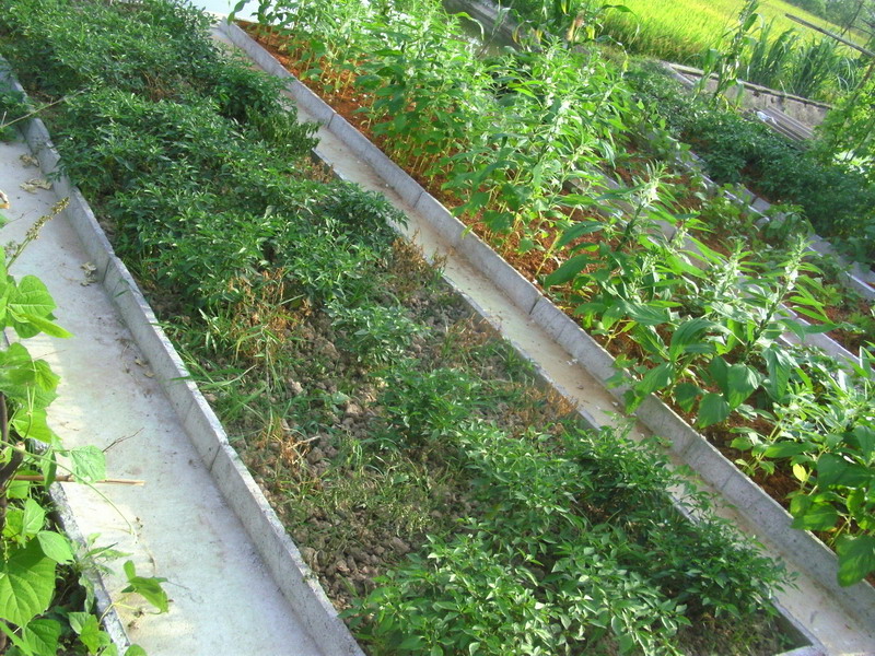 SANY8029_��С��С.JPG