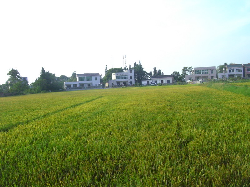 SANY8041_��С��С.JPG