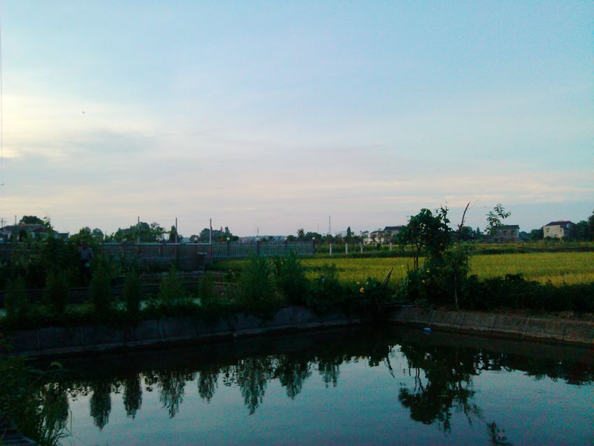 IMG_20120708_054313.jpg