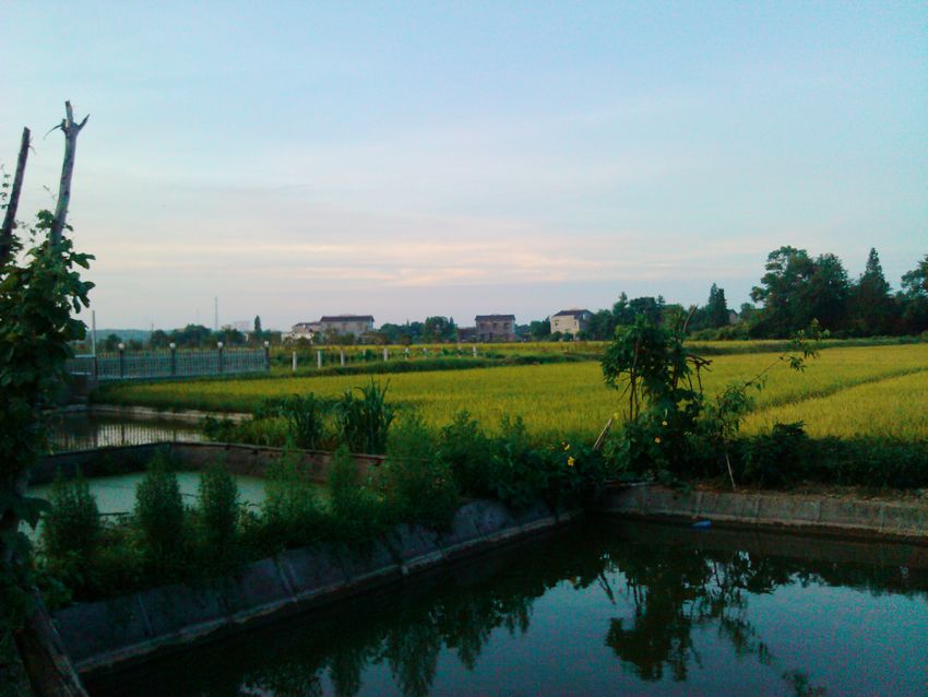 IMG_20120708_054357.jpg