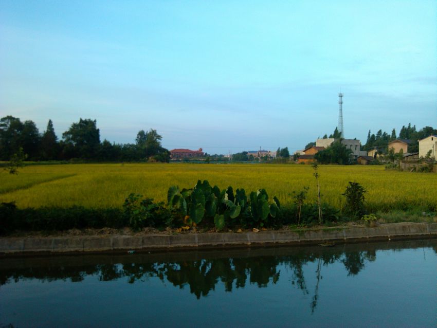 IMG_20120708_054450.jpg