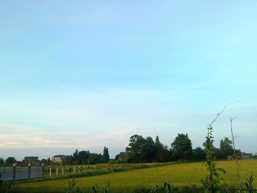IMG_20120708_054907.jpg