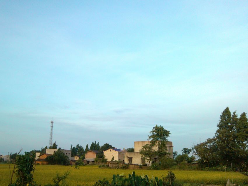 IMG_20120708_054927.jpg