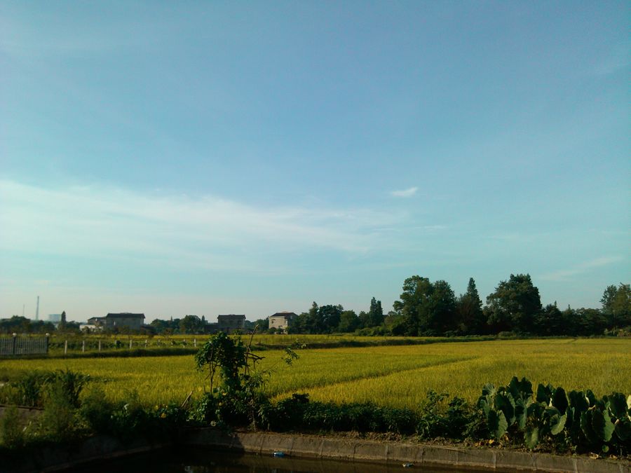 IMG_20120708_071922.jpg