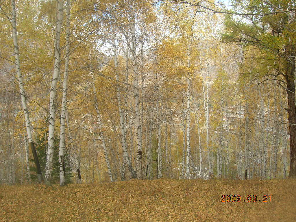 DSCN2904.JPG