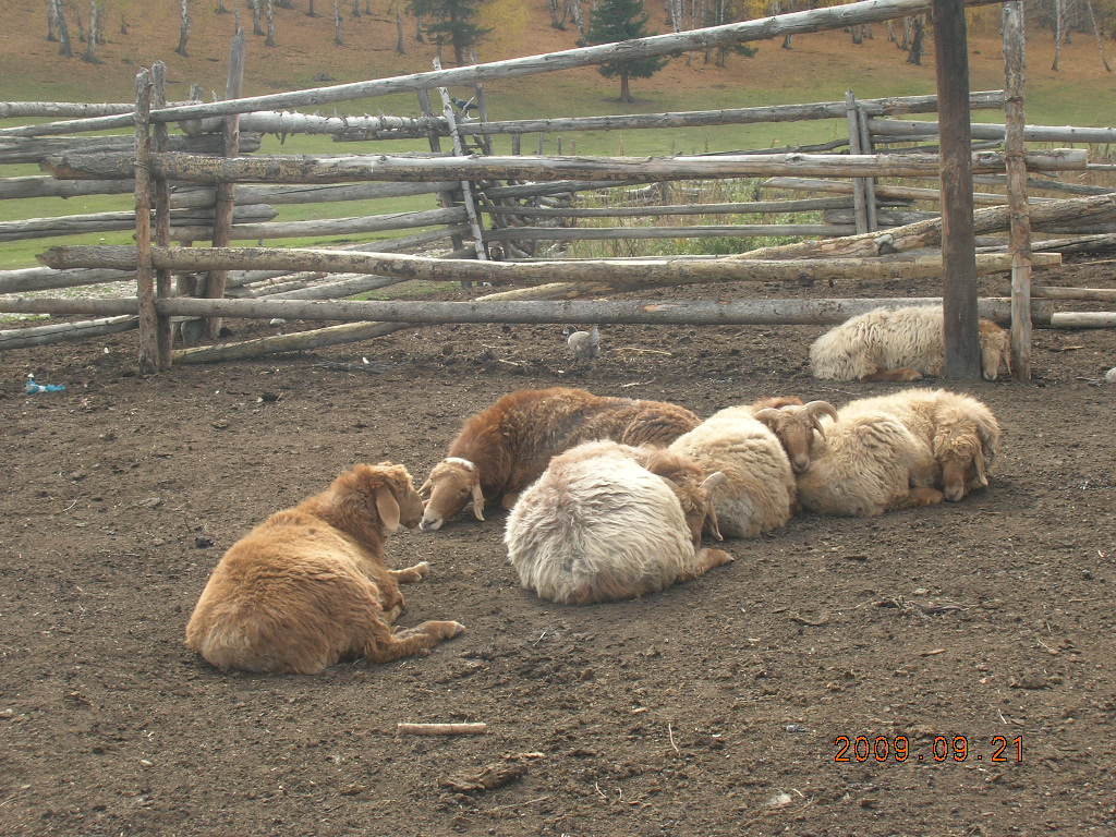 DSCN2916.JPG