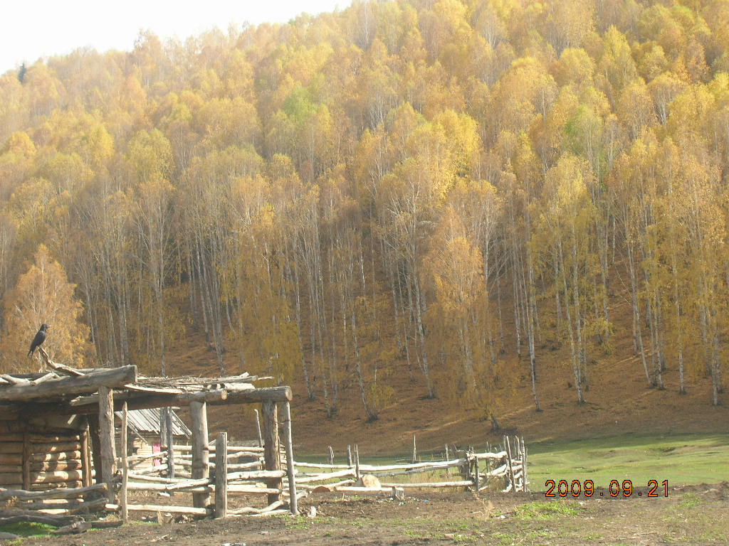 DSCN2920.JPG