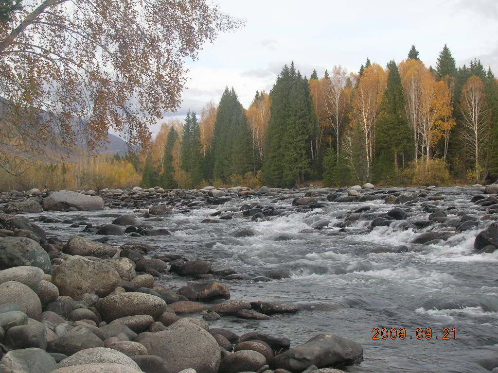 DSCN2947.JPG