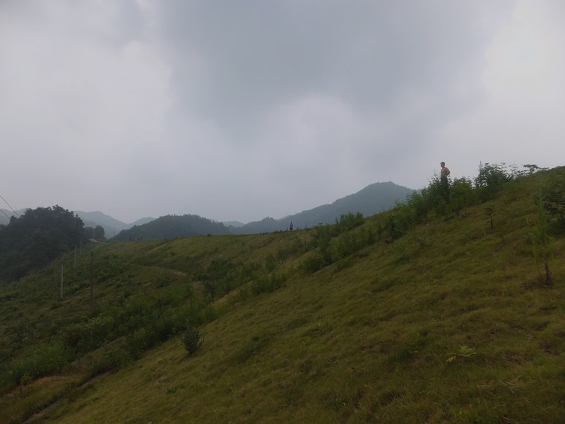 dscf8221_����.jpg