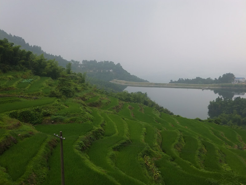 dscf8249_����.jpg