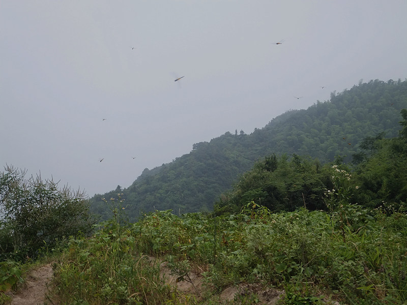dscf8312_����.jpg