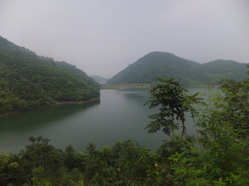 dscf8365_����.jpg