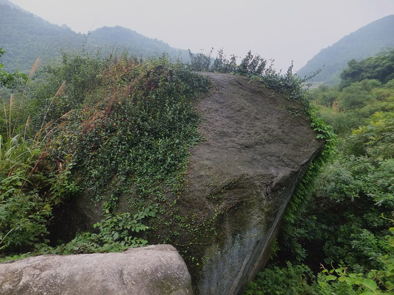dscf8374_����.jpg