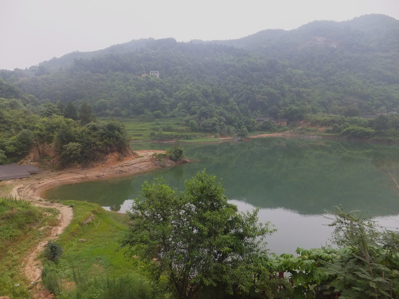 dscf8397_����.jpg