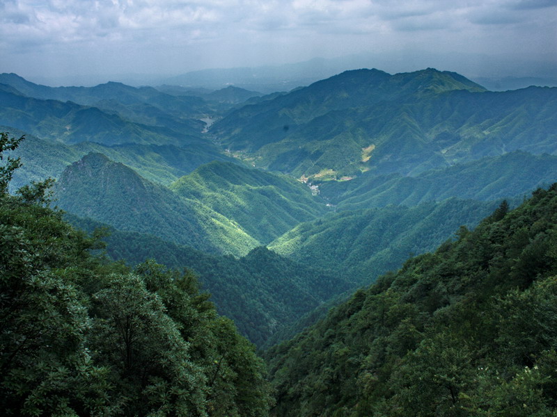 ֧������ 087.jpg