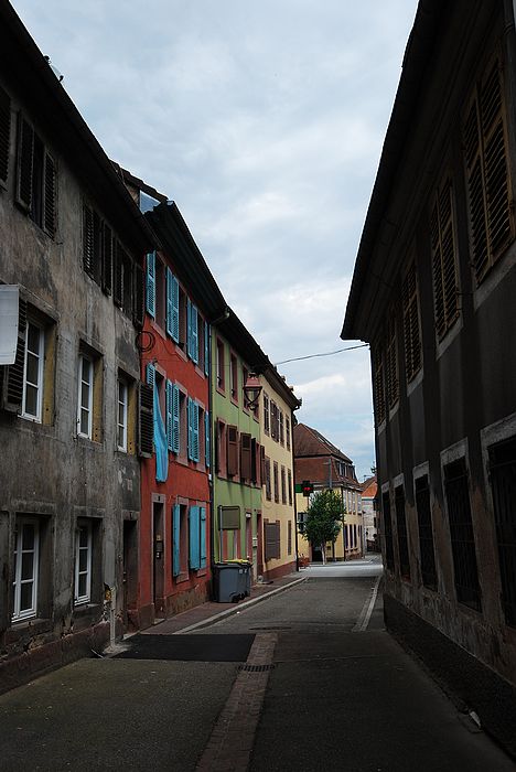 DSC_3135.jpg