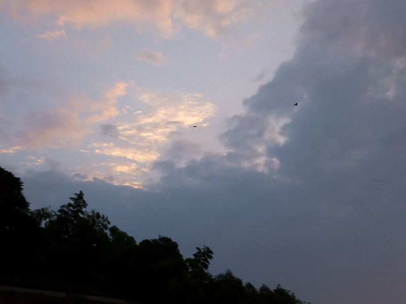 dscf5869_����.jpg