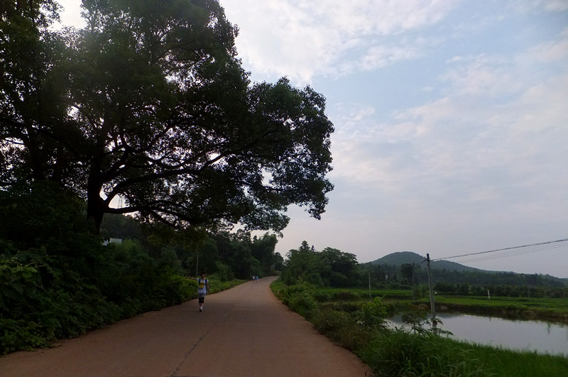 dscf5878_����.jpg