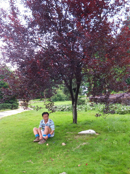 dscf5900_����.jpg