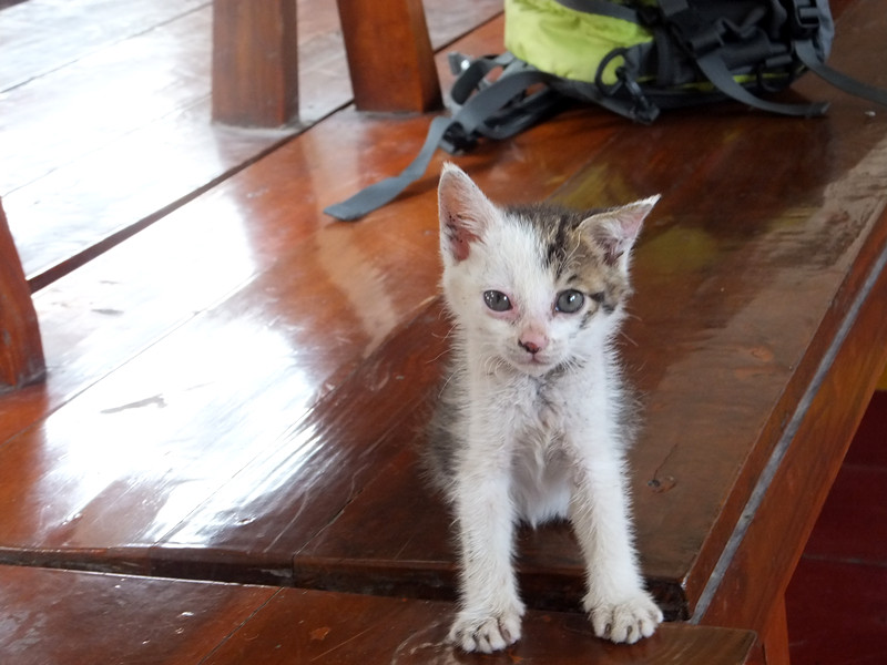 dscf5920_����.jpg