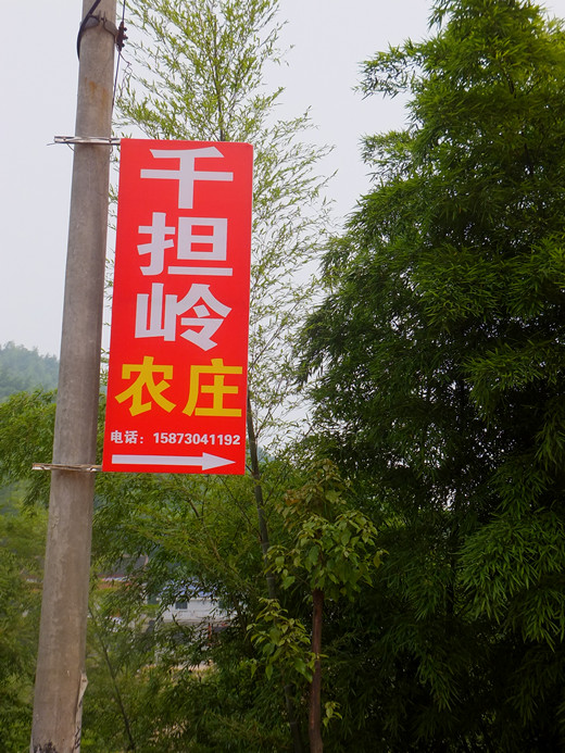 DSCF6189_����.jpg