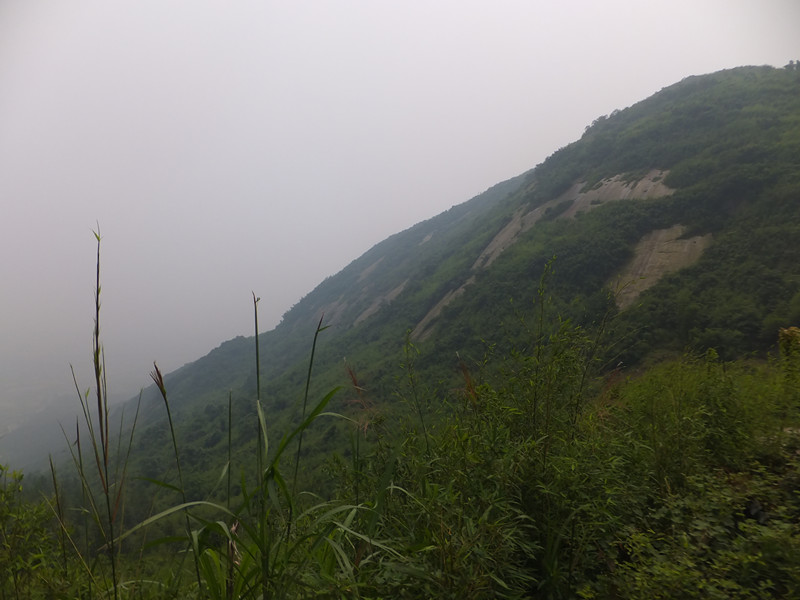 DSCF6190_����.jpg