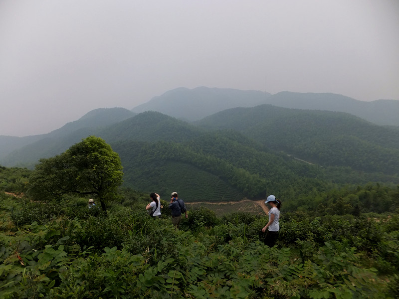 DSCF6239_����.jpg