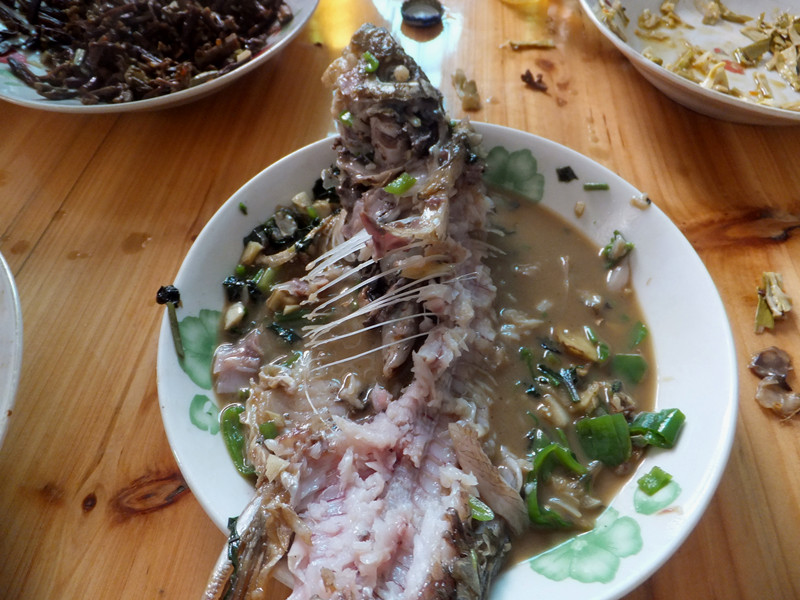 DSCF6260_����.jpg