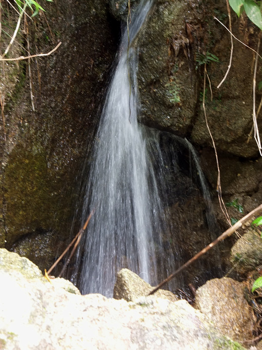 DSCF6280_����.jpg