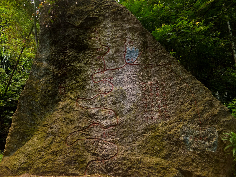 dscf6303_����.jpg