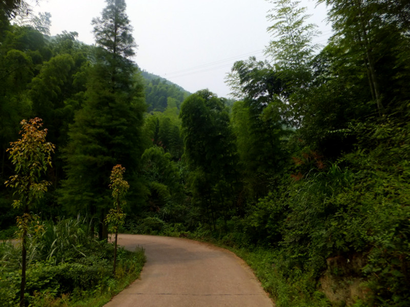 dscf6298_����.jpg