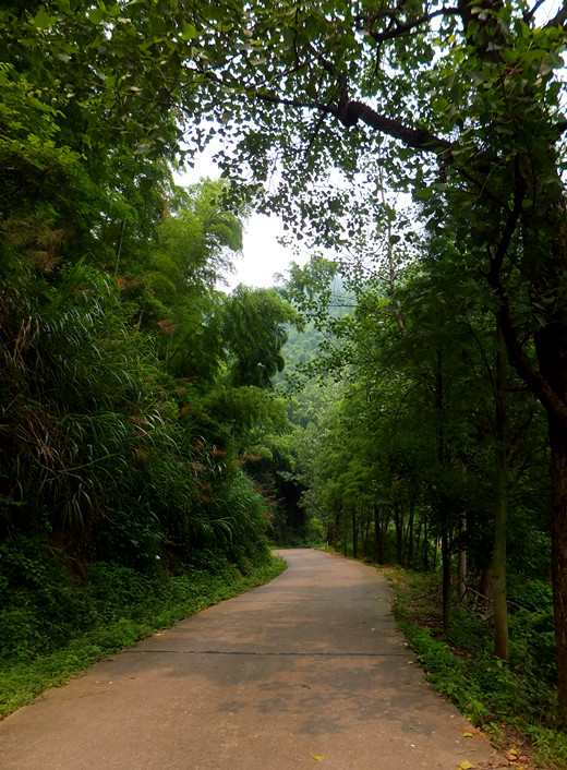 dscf6302_����.jpg