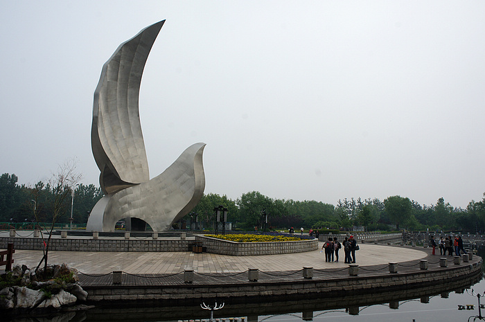 DSC06175.JPG