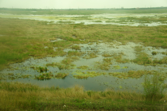 DSC06693.JPG