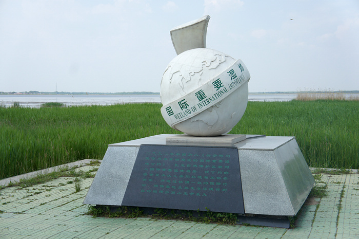 DSC06717.JPG