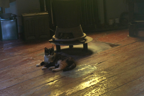 DSC07074.JPG
