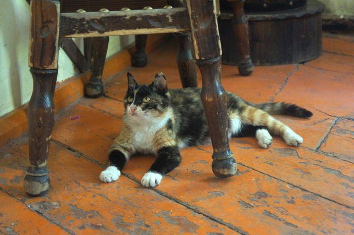 DSC07080.JPG