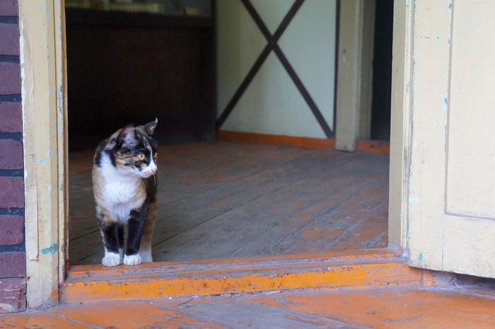 DSC07097.JPG