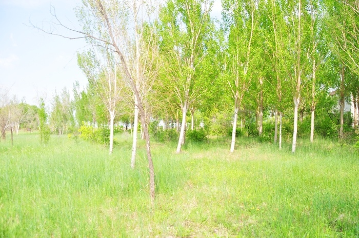 ����֮��֮�� 162.jpg
