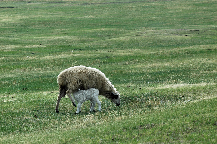DSC_7483.JPG