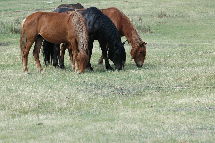 DSC_7453.JPG